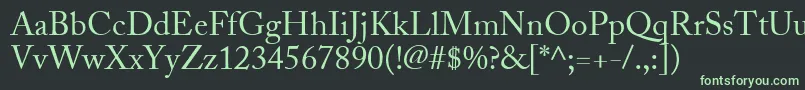 More about AdobeCaslonRegular Font AdobeCaslonRegular Font – Green Fonts on Black Background