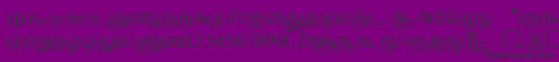 AabohiRegular Font – Black Fonts on Purple Background