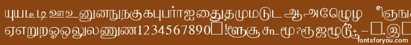 Шрифт AabohiRegular – белые шрифты на коричневом фоне