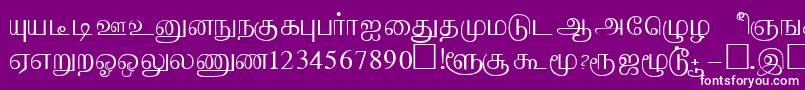 Шрифт AabohiRegular – белые шрифты на фиолетовом фоне