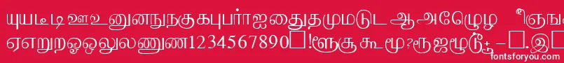 フォントAabohiRegular – 赤い背景に白い文字