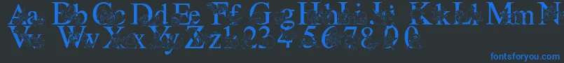 LmsPokemonMasterSolid Font – Blue Fonts on Black Background