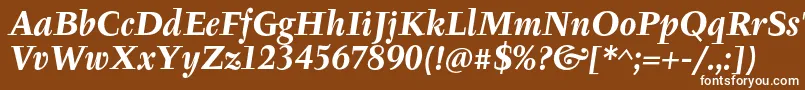 TyfaItcOtBoldItalic Font – White Fonts on Brown Background