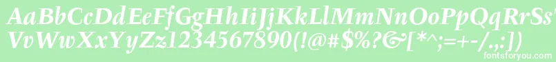 TyfaItcOtBoldItalic Font – White Fonts on Green Background