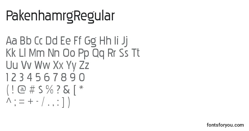 A fonte PakenhamrgRegular – alfabeto, números, caracteres especiais