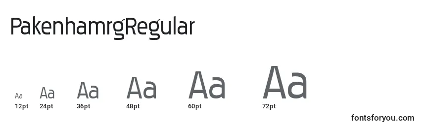 PakenhamrgRegular Font Sizes