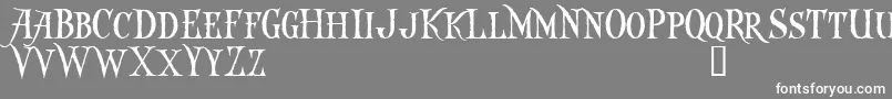 CaptainKiddDemo Font – White Fonts on Gray Background