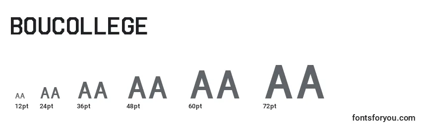 Boucollege Font Sizes