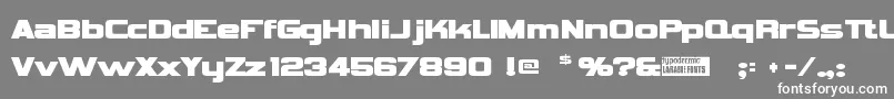 フォントVipnagor – 灰色の背景に白い文字