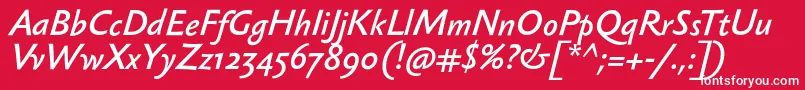 フォントSebastianmediumItalic – 赤い背景に白い文字