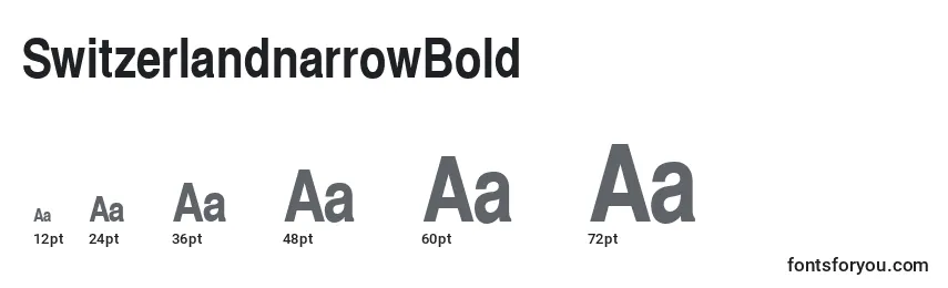Размеры шрифта SwitzerlandnarrowBold