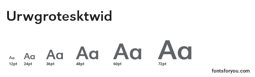 Размеры шрифта Urwgrotesktwid