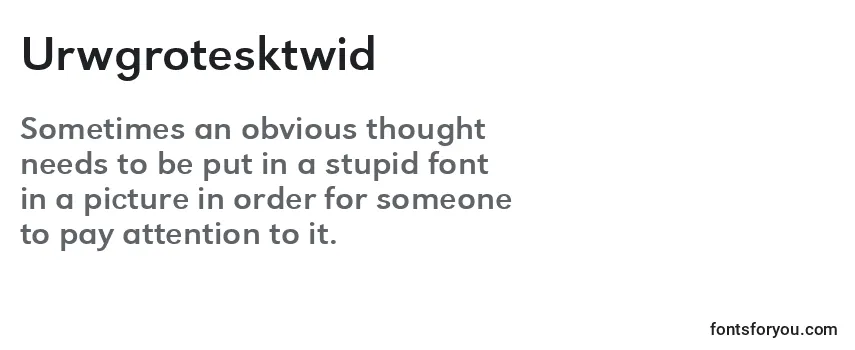 Review of the Urwgrotesktwid Font