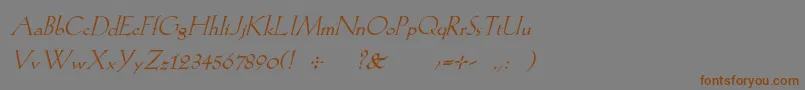 フォントKochromanItalic – 茶色の文字が灰色の背景にあります。