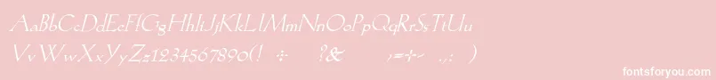 KochromanItalic Font – White Fonts on Pink Background