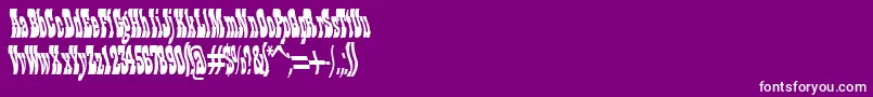 Moscoso Font – White Fonts on Purple Background
