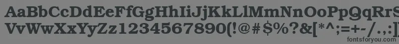 BookmanbttBold Font – Black Fonts on Gray Background