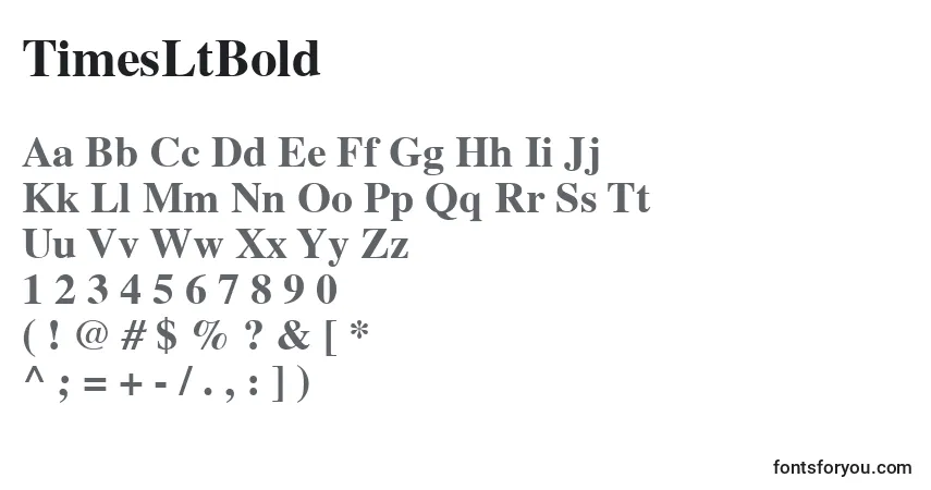 Czcionka TimesLtBold – alfabet, cyfry, specjalne znaki