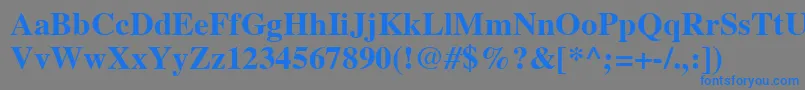 フォントTimesLtBold – 灰色の背景に青い文字