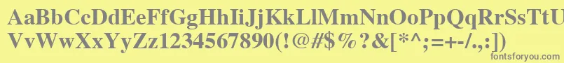 フォントTimesLtBold – 黄色の背景に灰色の文字