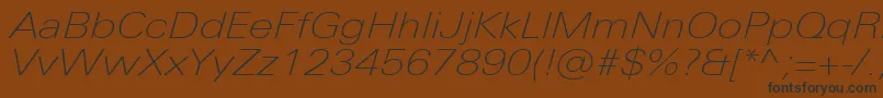 UniversNextProThinExtendedItalic Font – Black Fonts on Brown Background