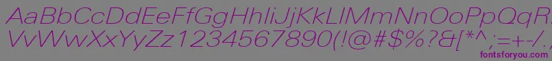 フォントUniversNextProThinExtendedItalic – 紫色のフォント、灰色の背景