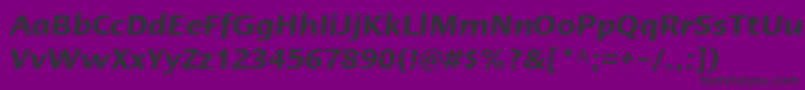 LinotypeErgoDemiBoldItalic Font – Black Fonts on Purple Background