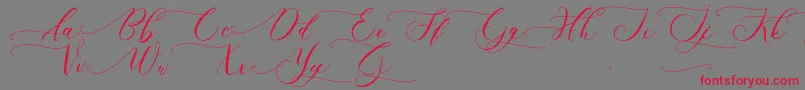 SchoolkidLight Font – Red Fonts on Gray Background