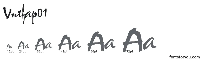 Размеры шрифта Vntfap01