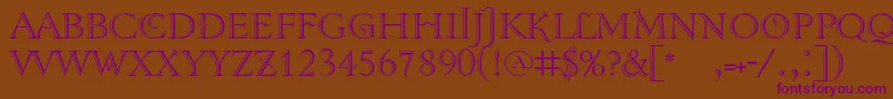Tenebrashaded Font – Purple Fonts on Brown Background