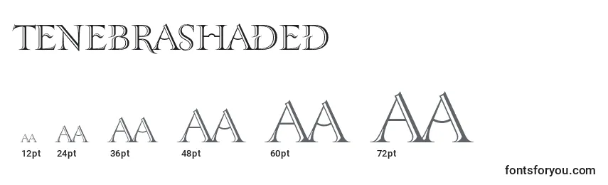Размеры шрифта Tenebrashaded