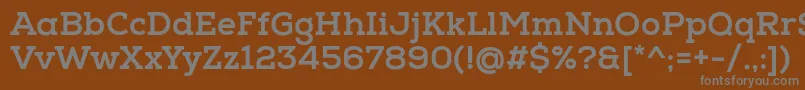 フォントNexaSlabXbold – 茶色の背景に灰色の文字
