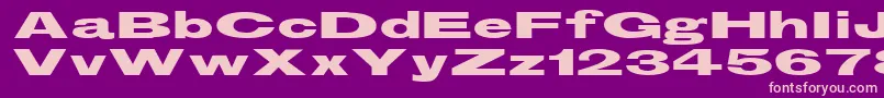 GranbrookHeavy Font – Pink Fonts on Purple Background