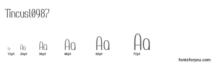 Размеры шрифта Tincusl0987