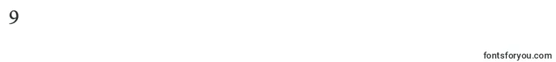 Erlantz Font – Fonts for Digit 9