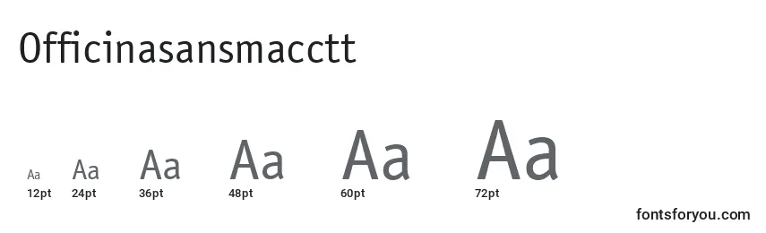 Размеры шрифта Officinasansmacctt
