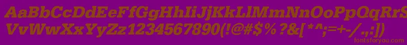 EgyptiennestdBoldItalic Font – Brown Fonts on Purple Background