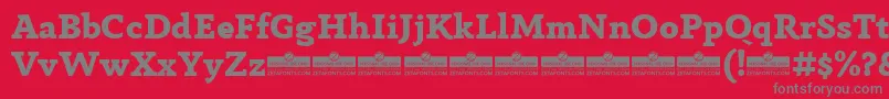 AnaphoraExtraboldTrial Font – Gray Fonts on Red Background