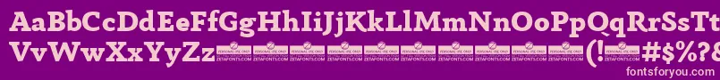AnaphoraExtraboldTrial Font – Pink Fonts on Purple Background