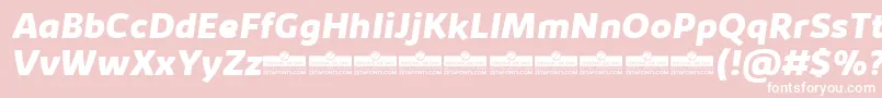 KabrioExtraboldItalicTrial Font – White Fonts on Pink Background