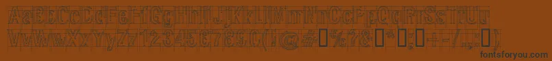 RawMacro Font – Black Fonts on Brown Background