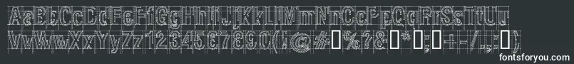 Шрифт RawMacro – белые шрифты