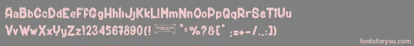 ShotgunС† Font – Pink Fonts on Gray Background