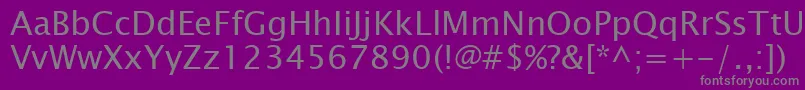 LucidaSansKoi8 Font – Gray Fonts on Purple Background