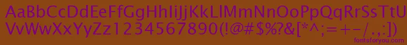 LucidaSansKoi8 Font – Purple Fonts on Brown Background