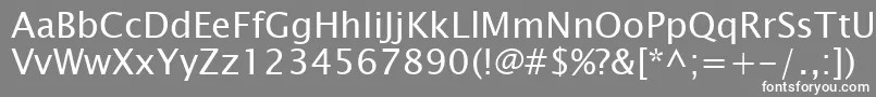 フォントLucidaSansKoi8 – 灰色の背景に白い文字