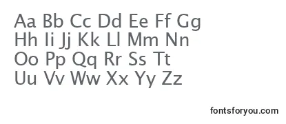 Review of the LucidaSansKoi8 Font