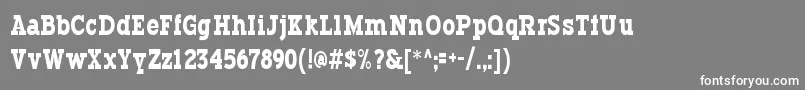 Typodermic Font – White Fonts on Gray Background