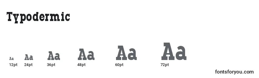 Размеры шрифта Typodermic