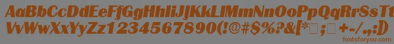 BurinDisplaySsiItalic Font – Brown Fonts on Gray Background
